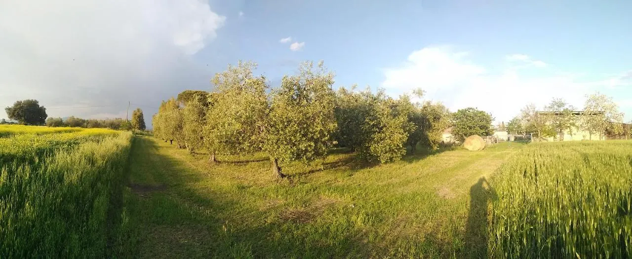 Vignarca Holiday Ranch Apartment Casa Franciana Italy